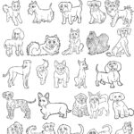 30 Dog Breeds Coloring Image Pack For Commercial Use