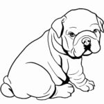 Bulldog Coloring Pages Best Coloring Pages For Kids