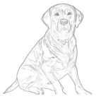 Chocolate Lab Coloring Pages Coloring Pages Mimi Panda