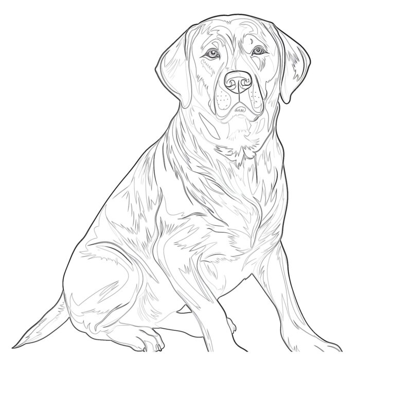 Chocolate Lab Coloring Pages Coloring Pages Mimi Panda