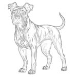 Dog Coloring Pages Realistic Coloring Pages Mimi Panda