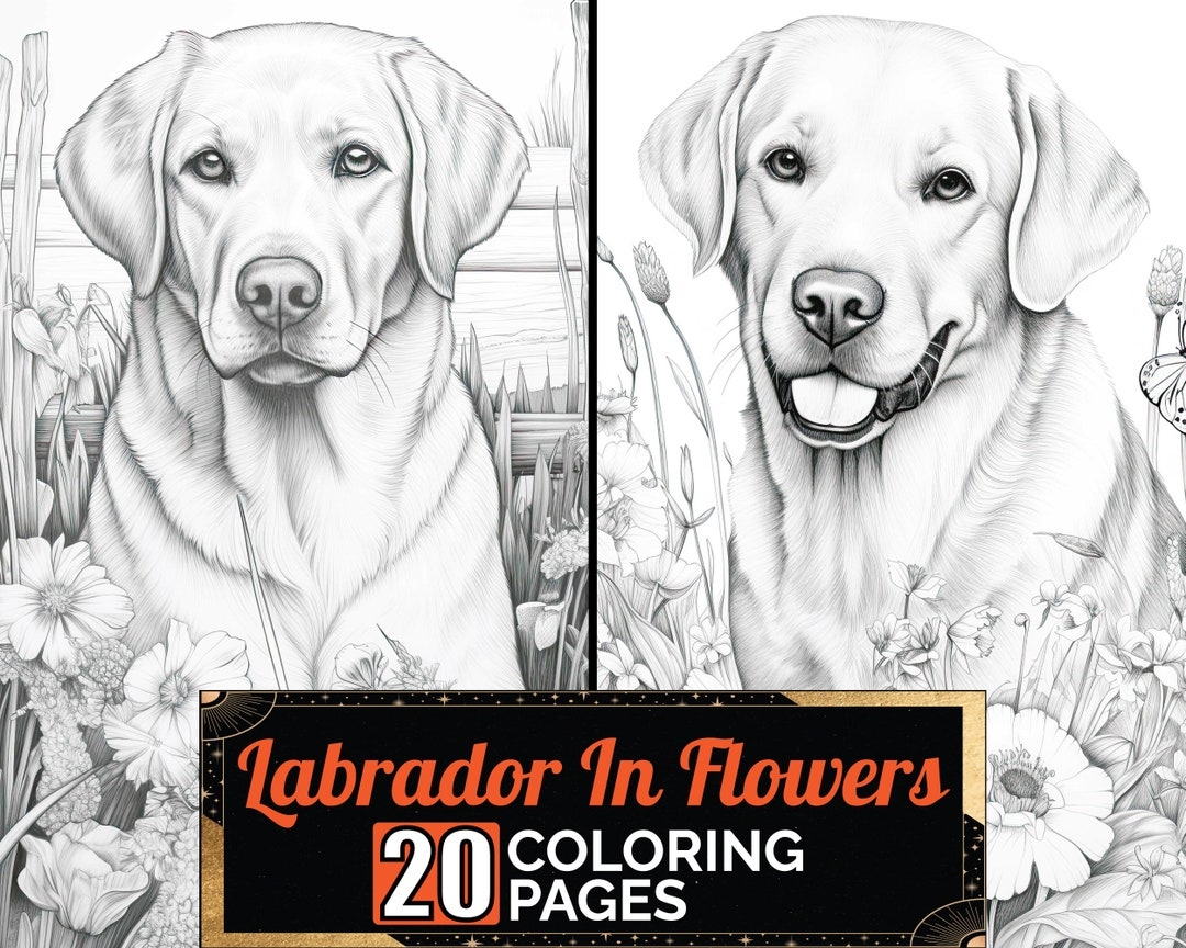 Labrador Retriever In Flowers Coloring Pages 20 Premium Coloring Sheets Adult Kids Coloring Book A4 Size Instant Digital PDF Download Etsy
